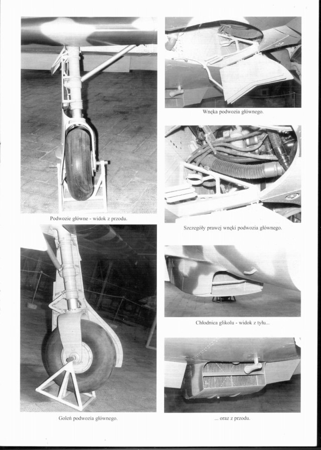 ниши макки.jpg